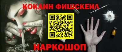 индика Камень-на-Оби