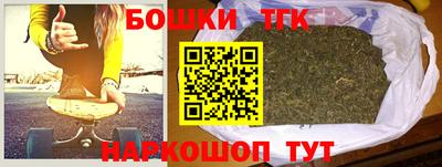 индика Камень-на-Оби