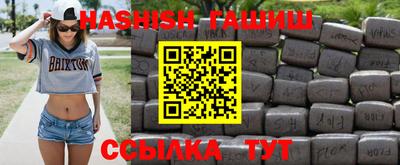 индика Камень-на-Оби