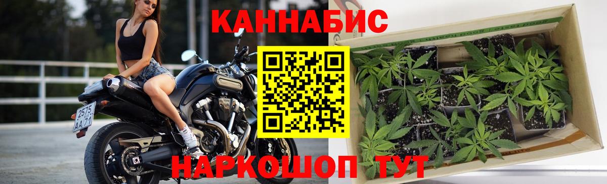 МАРИХУАНА Ganja  Вход с VPN  Заводоуковск  Канабис Amnesia  Канабис индика 